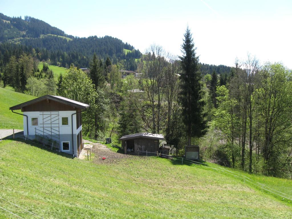Haus Steinlechner Hotel Westendorf Kamer foto